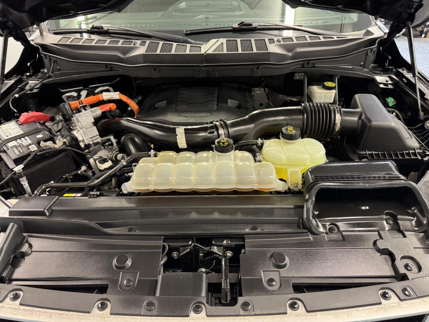 $view_url - Photo#37