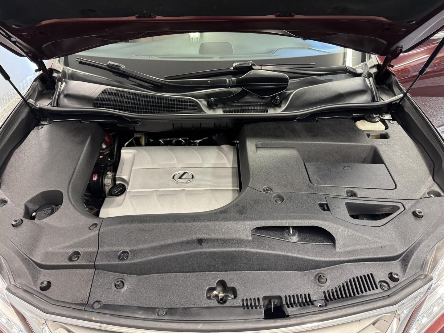 $view_url - Photo#31